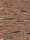 Cheyenne HV WF / RC209 Rijswaard