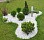 Мраморный Щебень Белый 10-20мм. Мешок 50кг