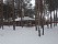 Кирпич облицовочный Terca Crystal Wit SP, 215*102*65 мм