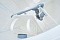 Biodevice ECO 5